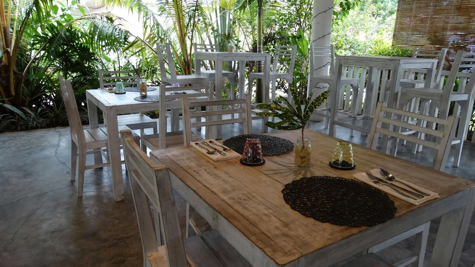 Momo Beach House Panglao Filipíny